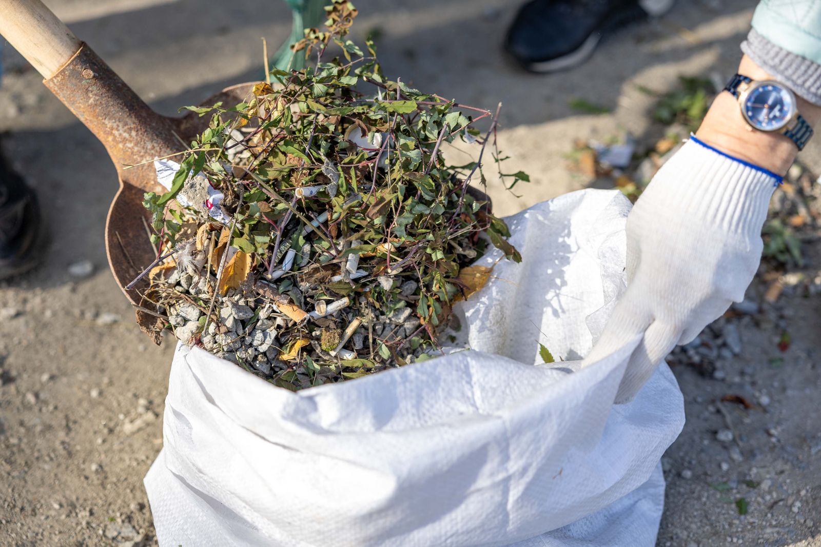 Junk Removal Galt CA | Same-Day Hauling | Free Quote Yard waste and debris cleanup in Galt, CA